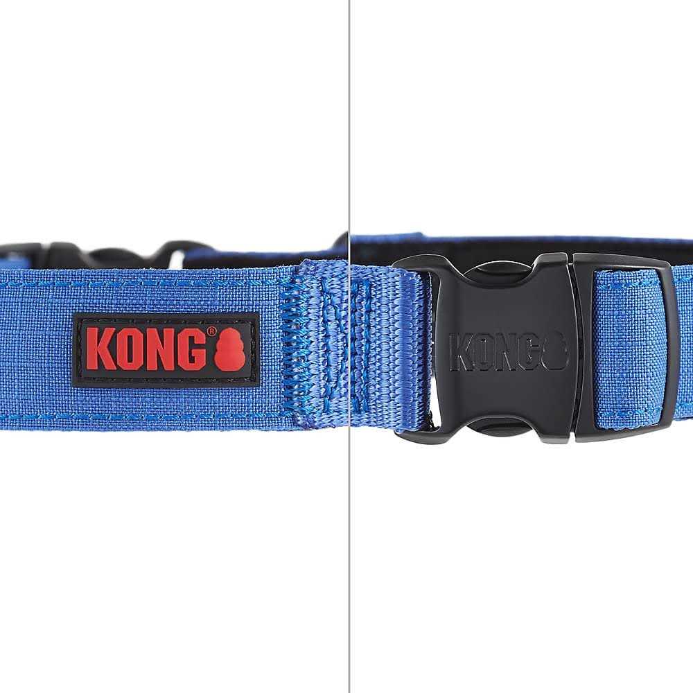 Padded Dog Collar A203