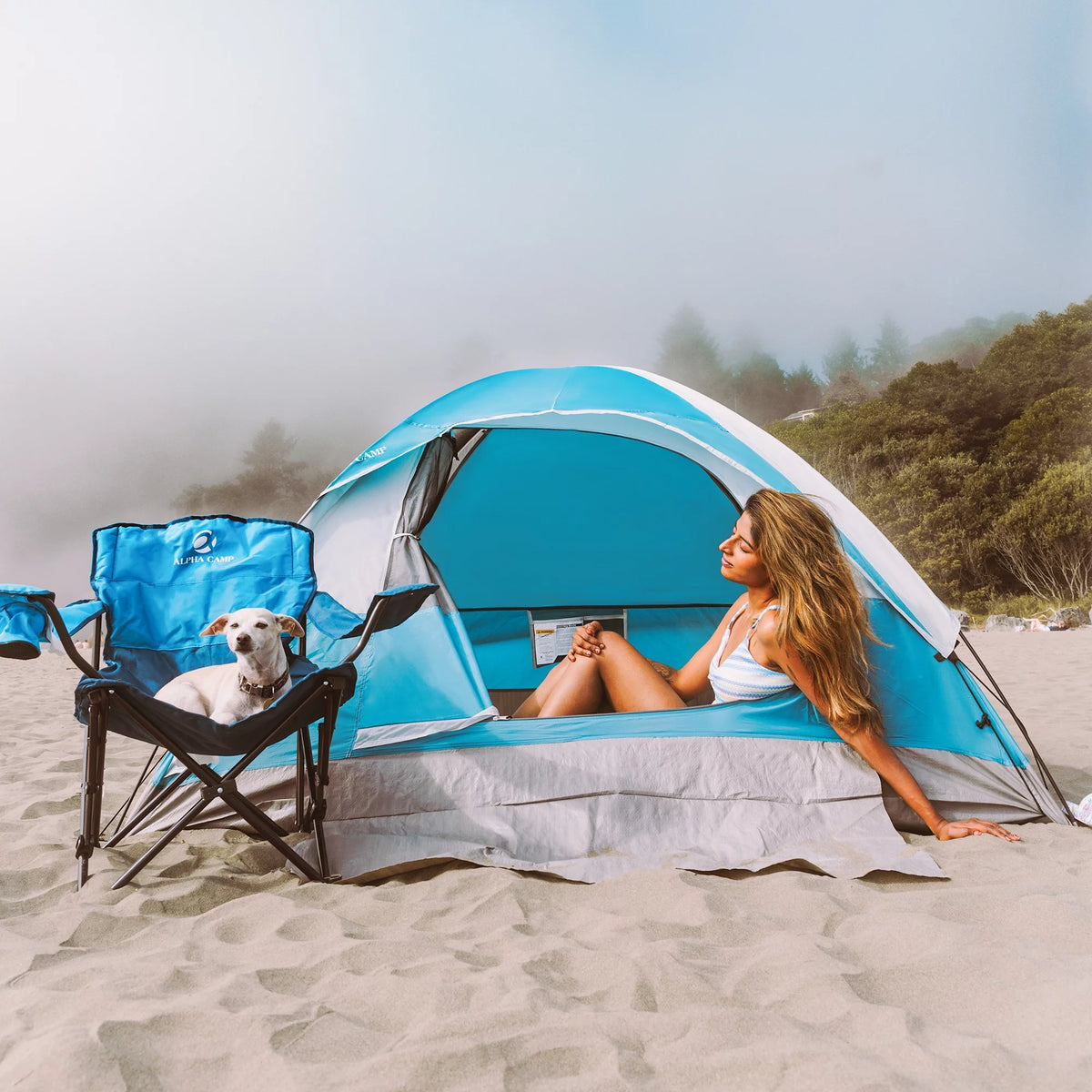 2-Person Waterproof Camping Dome Tent with Carry Bag, Blue D961460