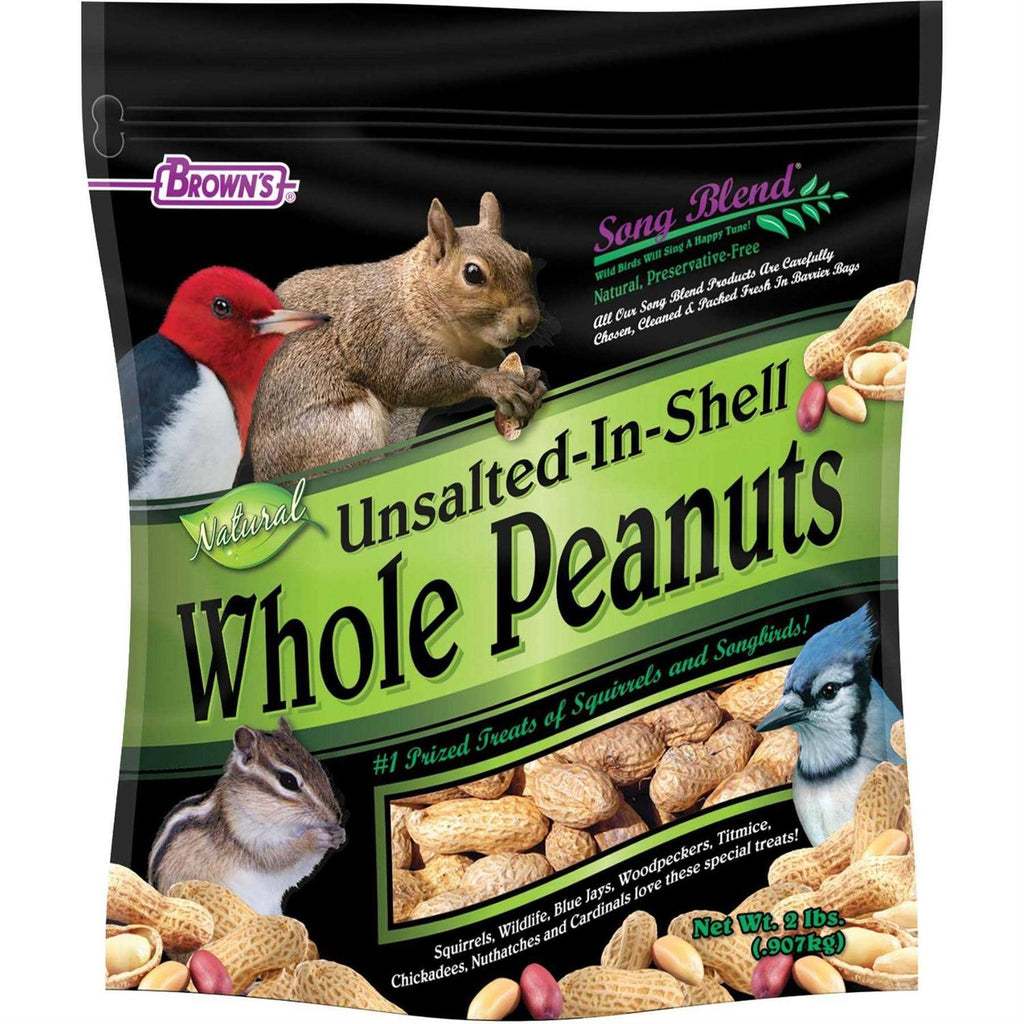 Unsalted In-Shell Whole Peanuts Bird Food D487386