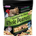Unsalted In-Shell Whole Peanuts Bird Food D487386