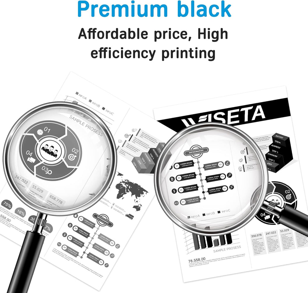 Black 2-Pack Toner Cartridge B161