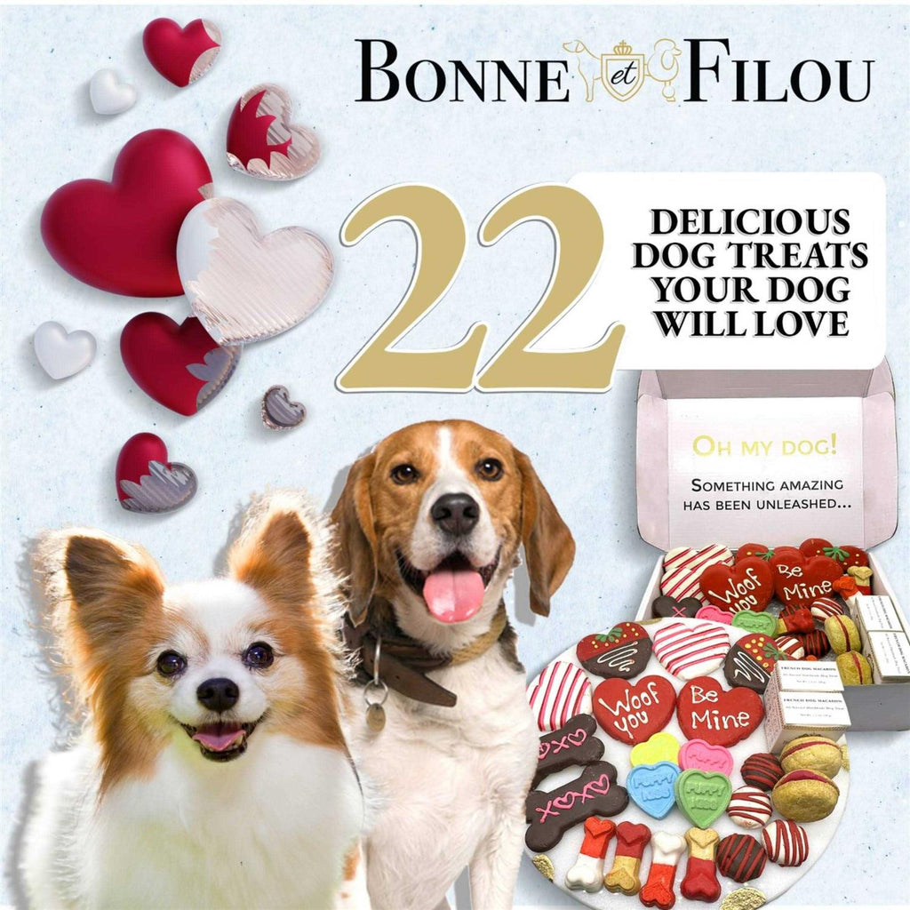 Dog Treats Box L18049