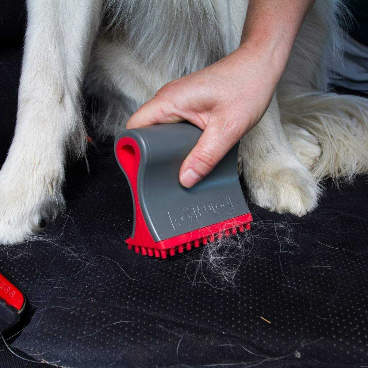 Dog Hair Remover Z88104