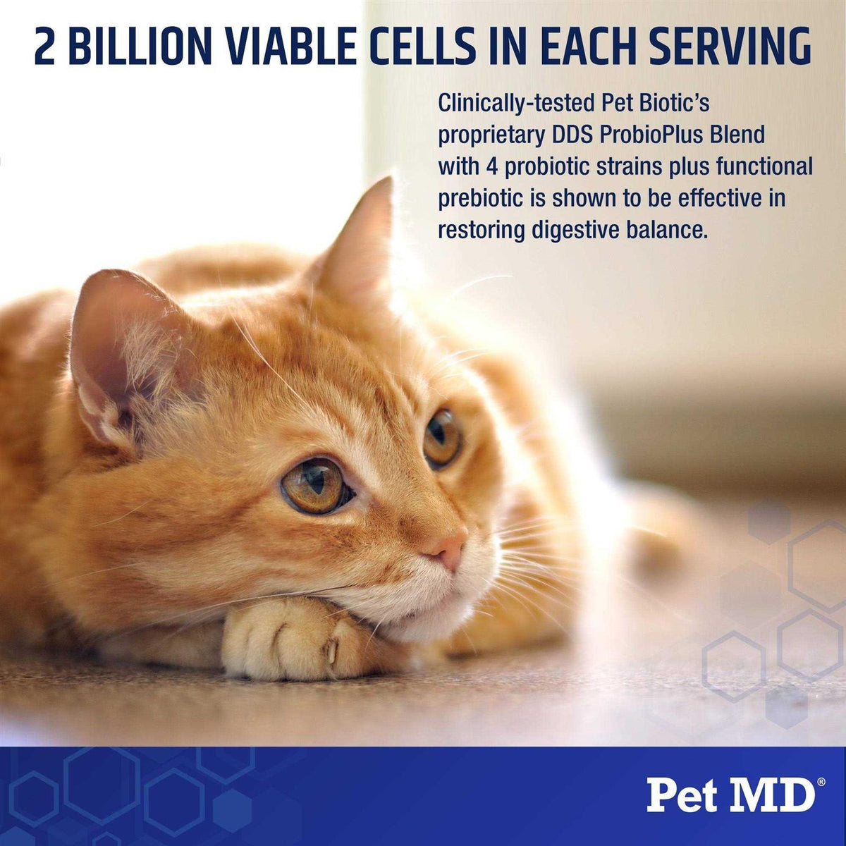 Probiotics for Dogs & Cats B157