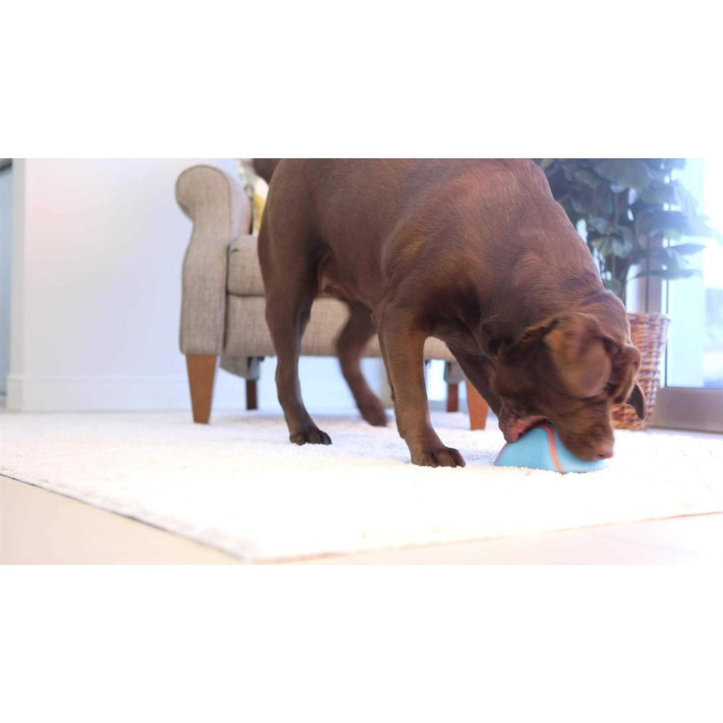 Indoor Dog Toy K530558