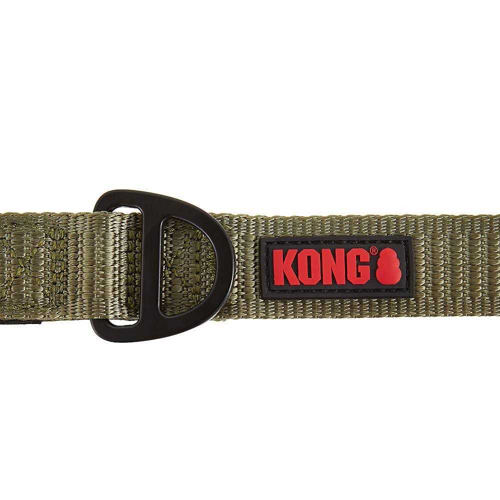 Dog Leash T6267