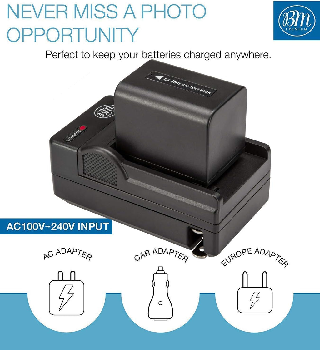 2 Batteries and Charger H9459