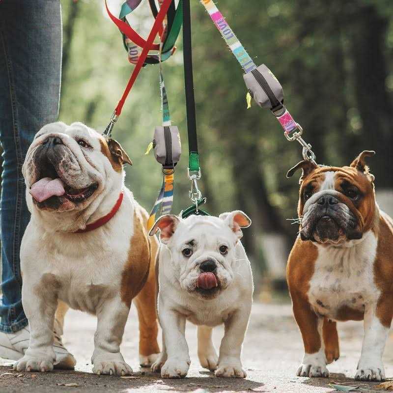 Leash Attachment Poop Bag Holder R8048