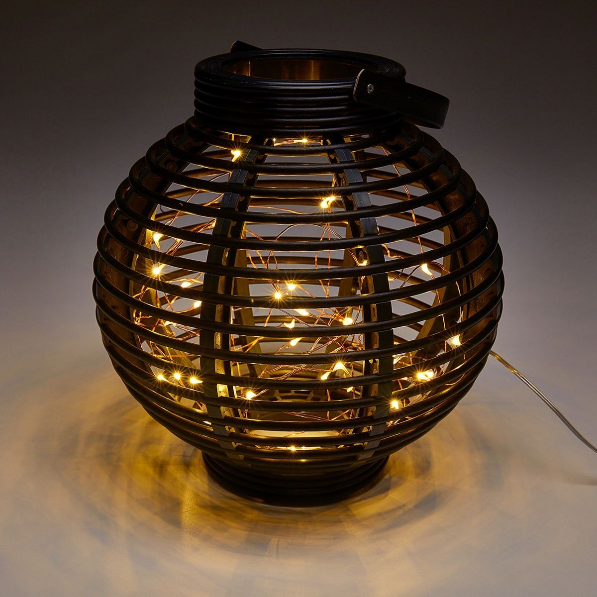 Warm White Copper Wire Lights with Remote L249