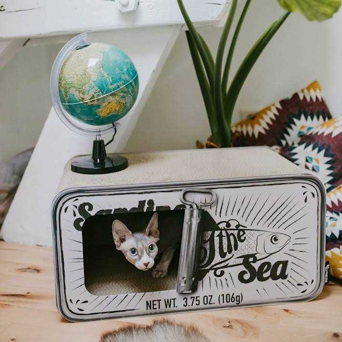Cardboard Cat Scratcher M744506