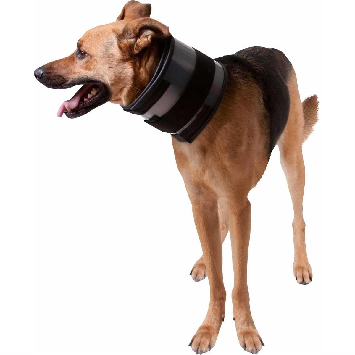 Cervical Collar V9296