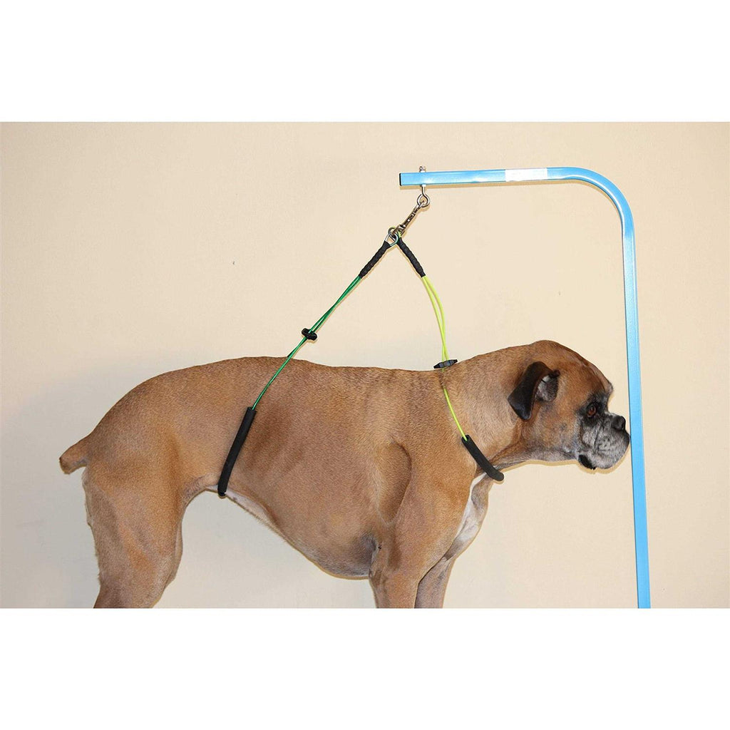 Dog Grooming Loop Restraint K322041