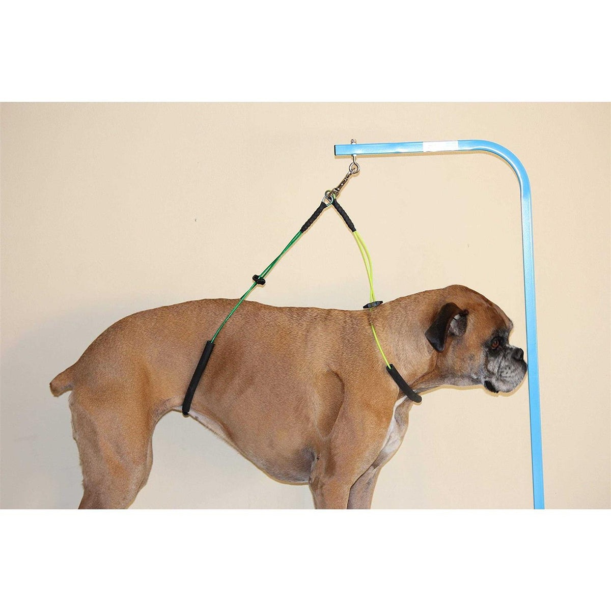 Dog Grooming Loop Restraint K322041