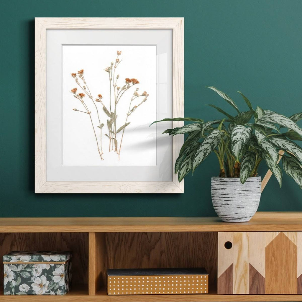 Framed Print 23X32 Maple I2968