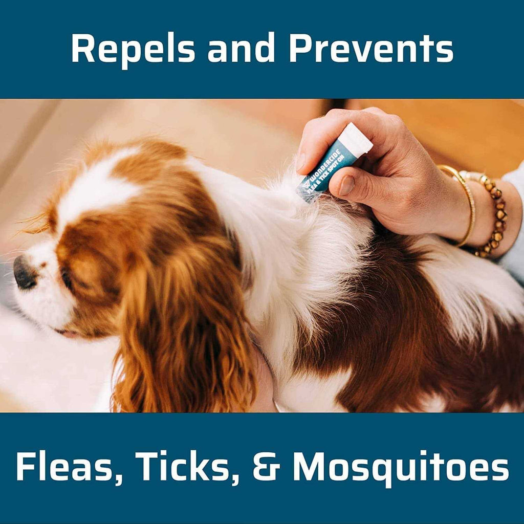Flea & Tick Spot On for Dogs J72154