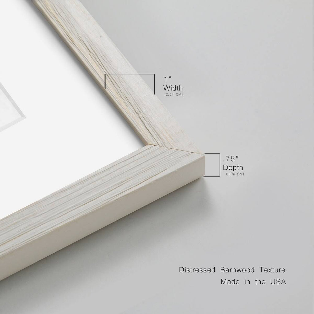 Framed Print 23X32 Maple I2968