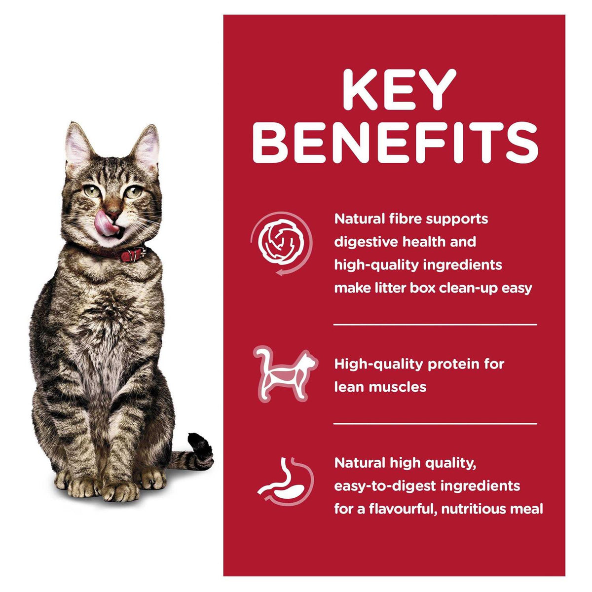 Indoor Dry Cat Food R934673