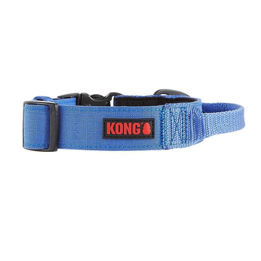 Padded Dog Collar A203