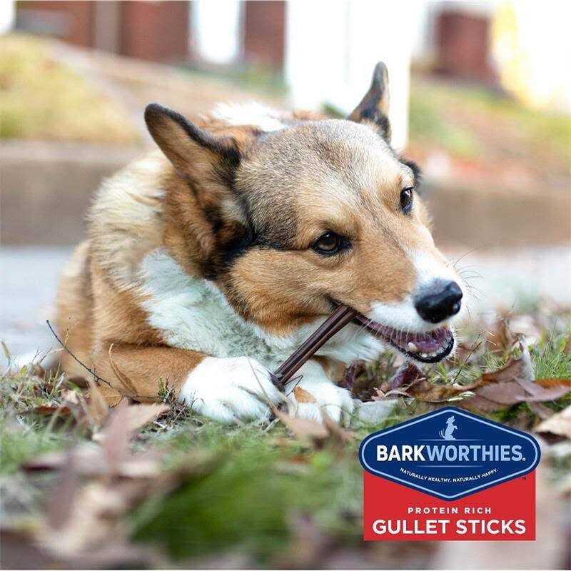 Odor Free Bully O689