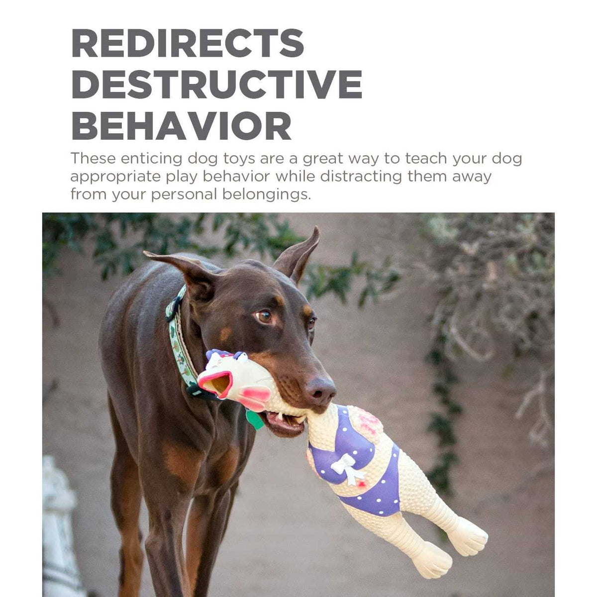Latex Pet Toy F732