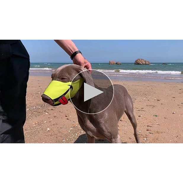 Dog Muzzle with Soft Breathable Air Mesh Nylon Y611