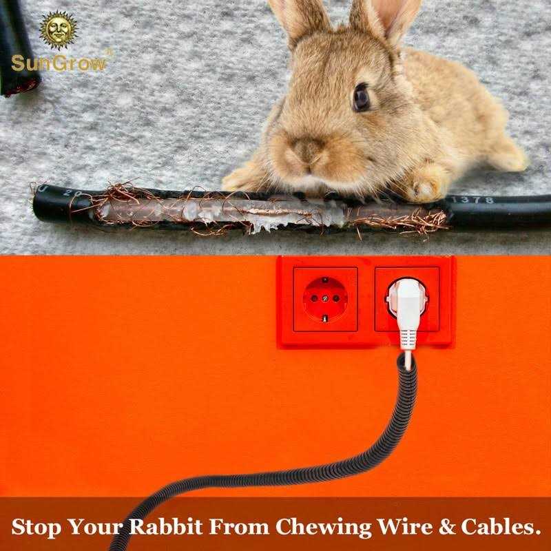 Cord Protector From Pets N3171