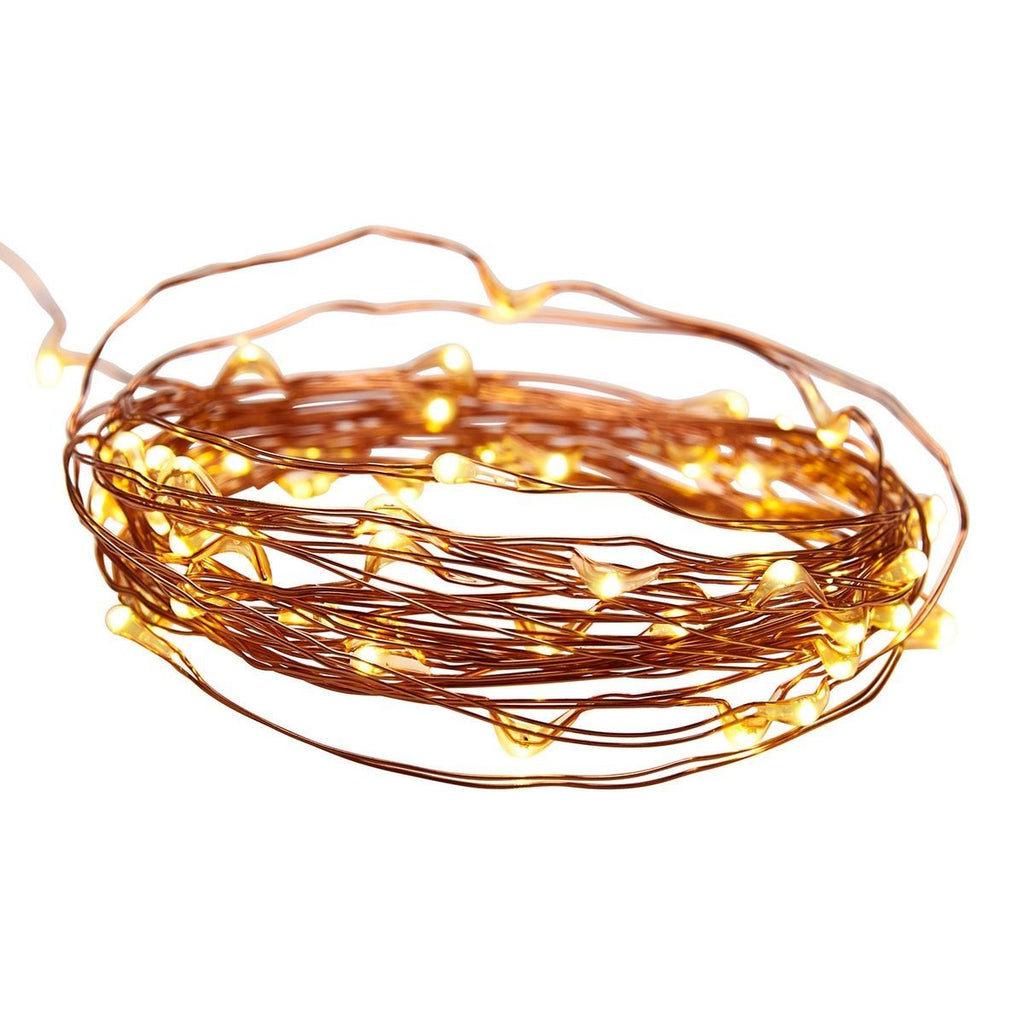 Warm White Copper Wire Lights with Remote L249