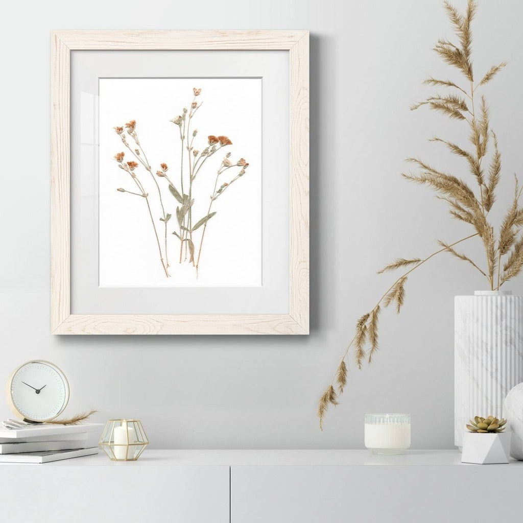 Framed Print 23X32 Maple I2968