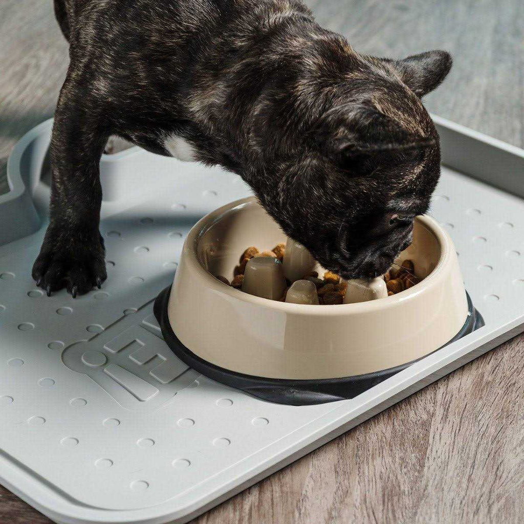 Slow Feeding Bowl for Short Snouted Pets Y143732