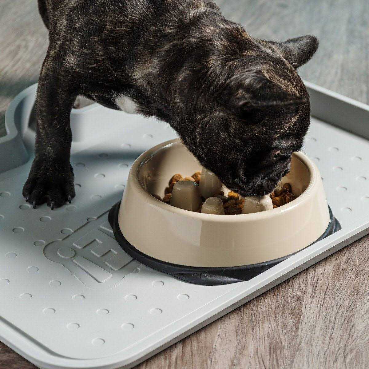 Slow Feeding Bowl for Short Snouted Pets Y143732