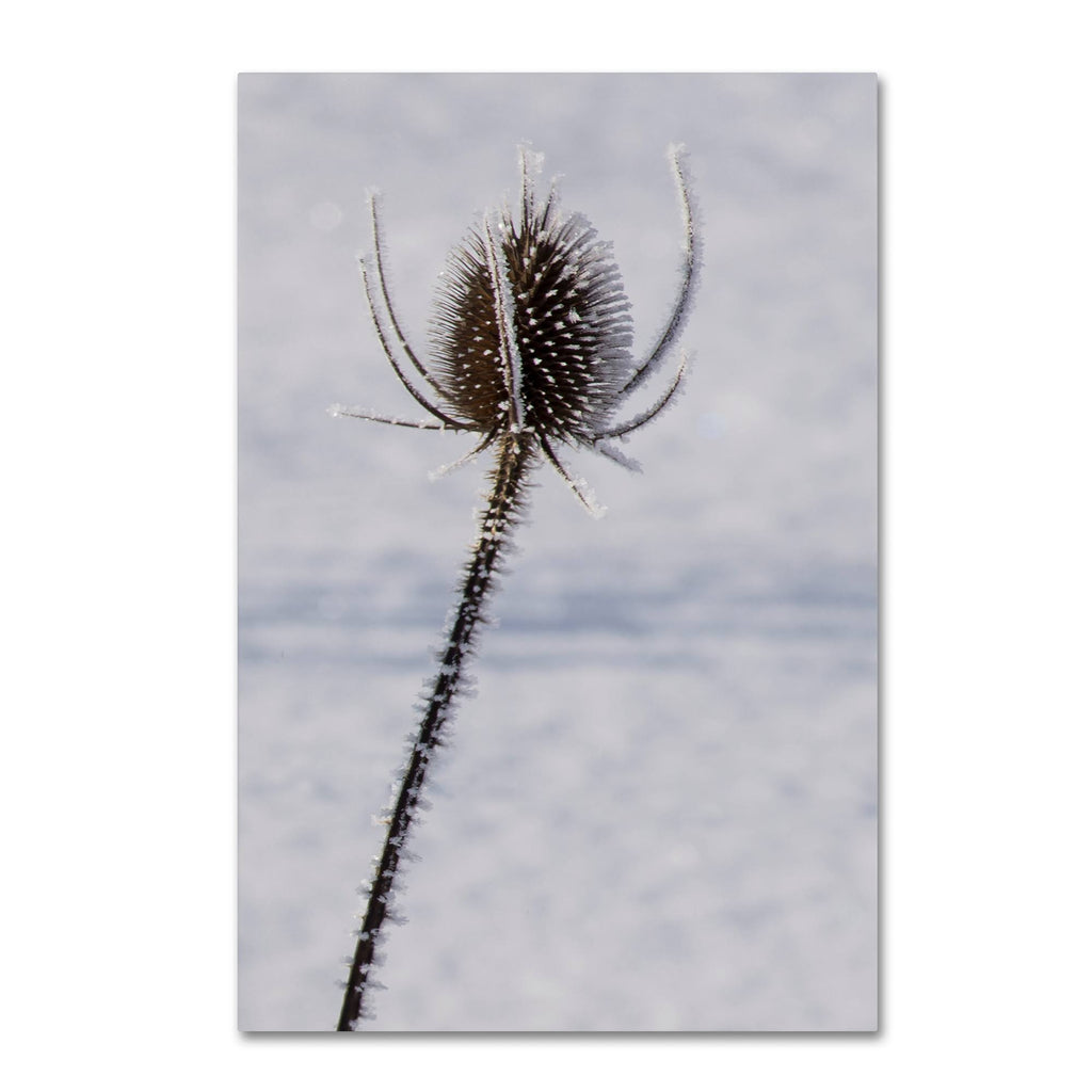 Canvas Art M627