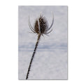 Canvas Art M627