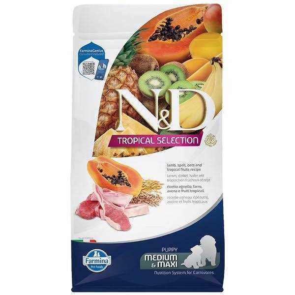 Salmon Adult Dog Food I122082