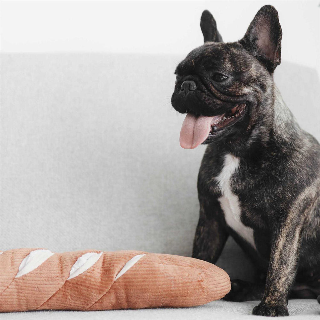 Dog Toy U807724