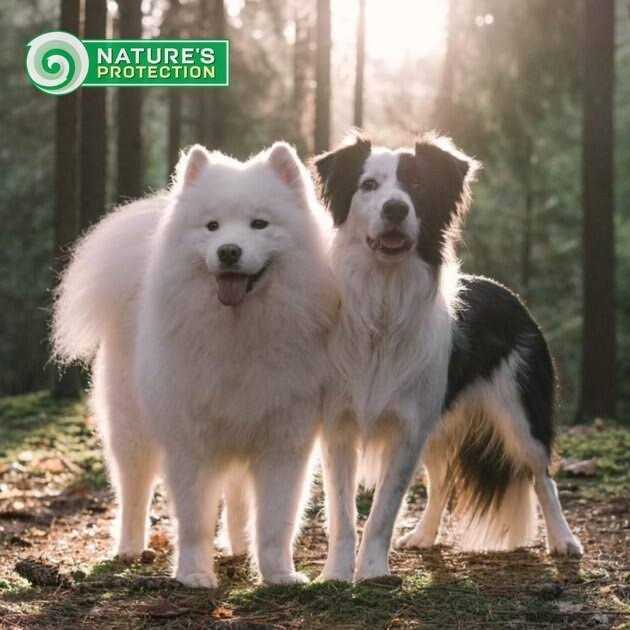 Grain Free Dry Dog Food U29437