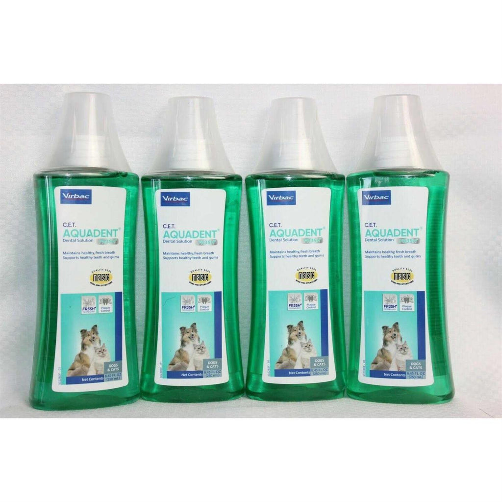 Dental Solution A69295