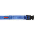 Padded Dog Collar A203