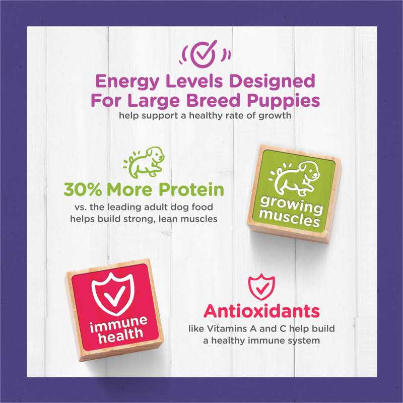 High Protein Large Breed Dry Puppy Food with Real Chicken F921