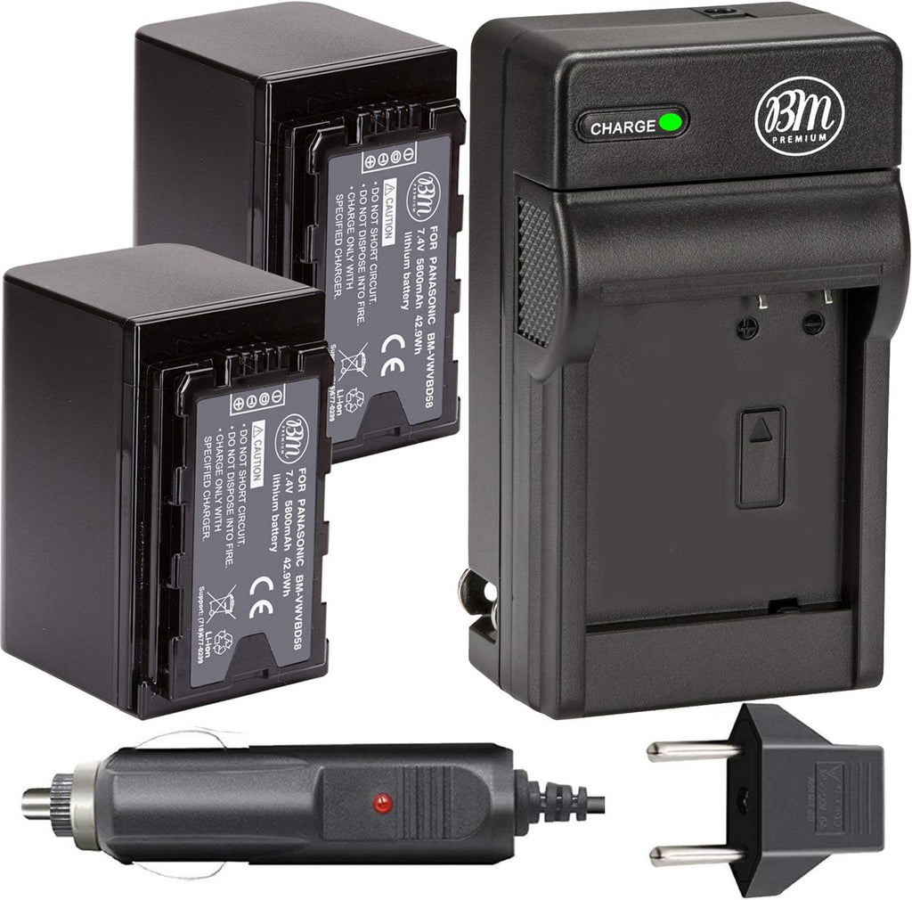 2 Batteries and Charger H9459