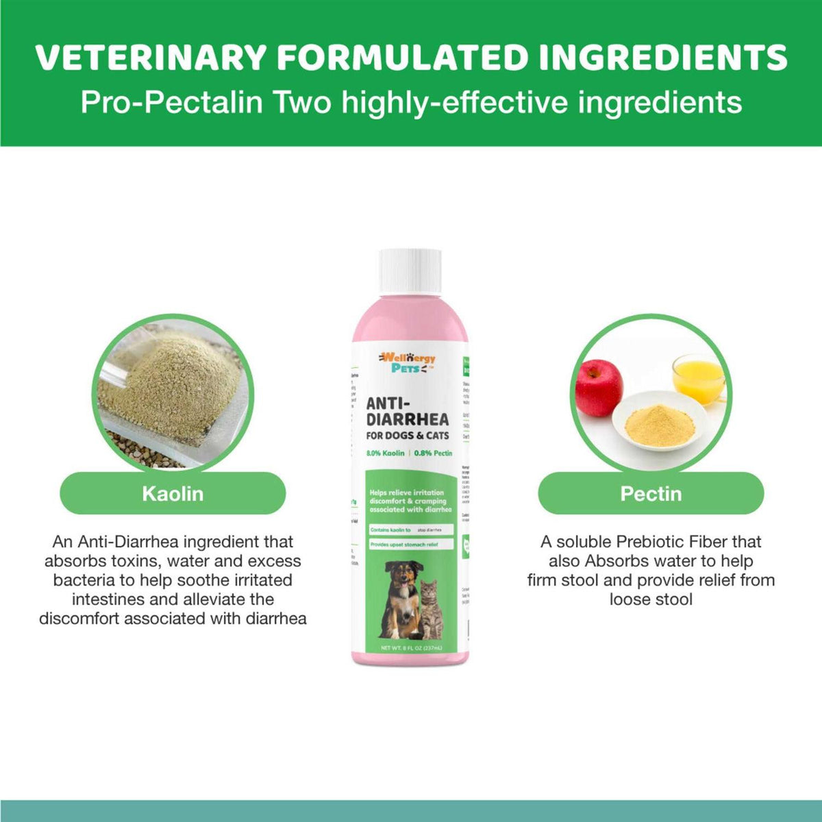 Anti-Diarrhea for Dogs and Cats with Syringe P247