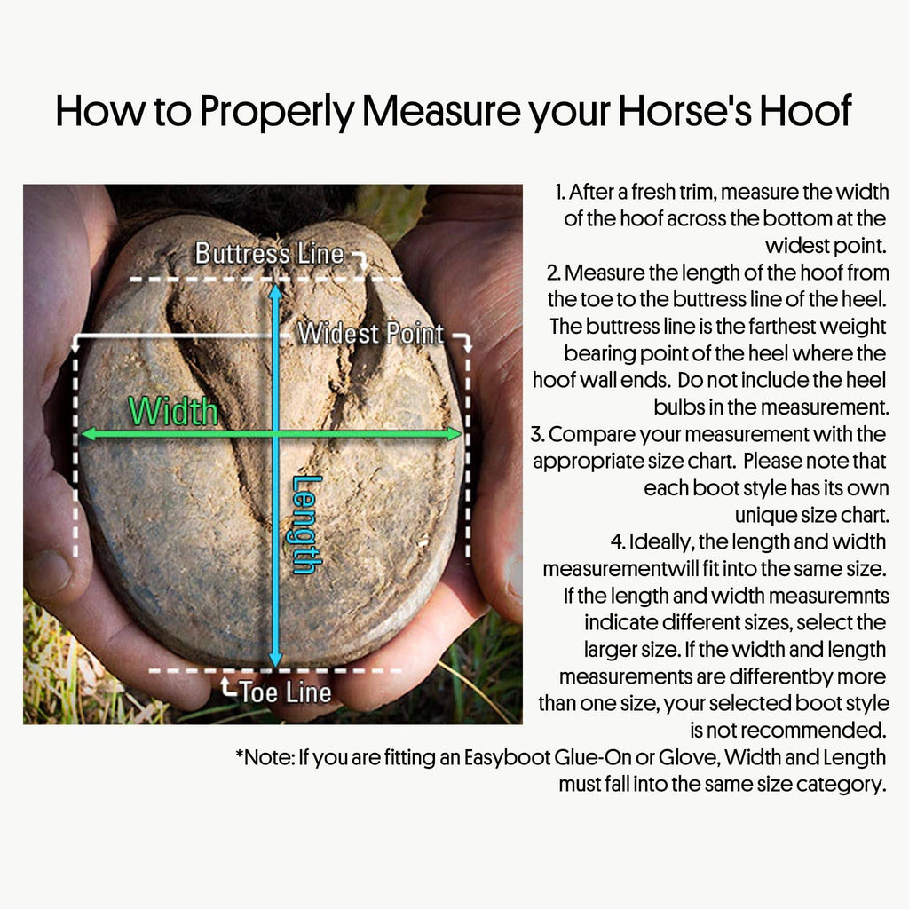 Horse Boot Q864