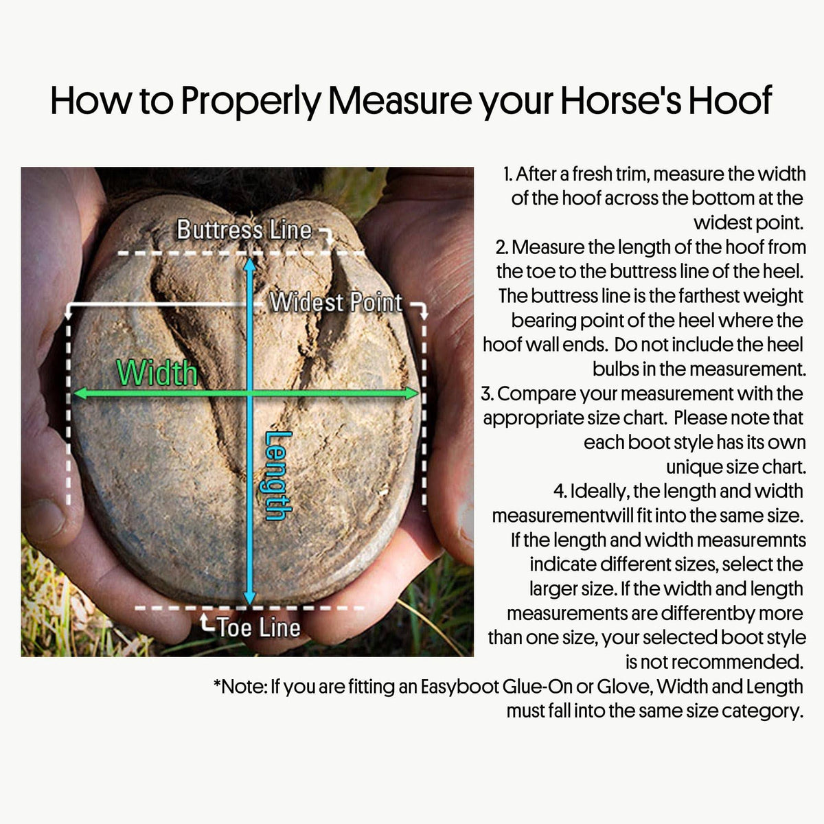 Horse Boot Q864