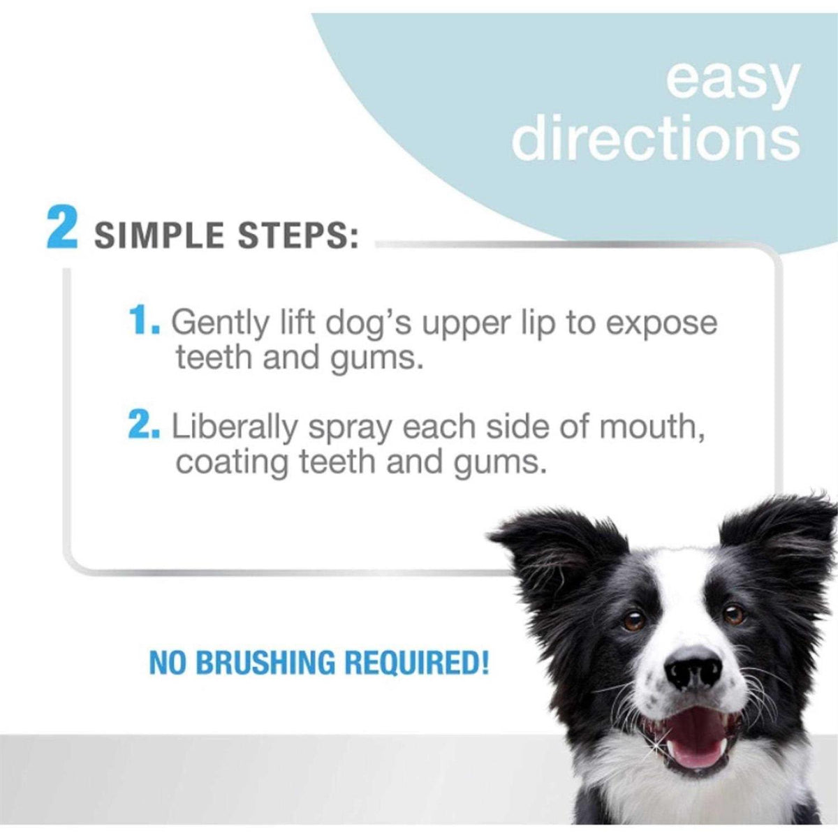 Advanced Oral Care Dental Spray V67166