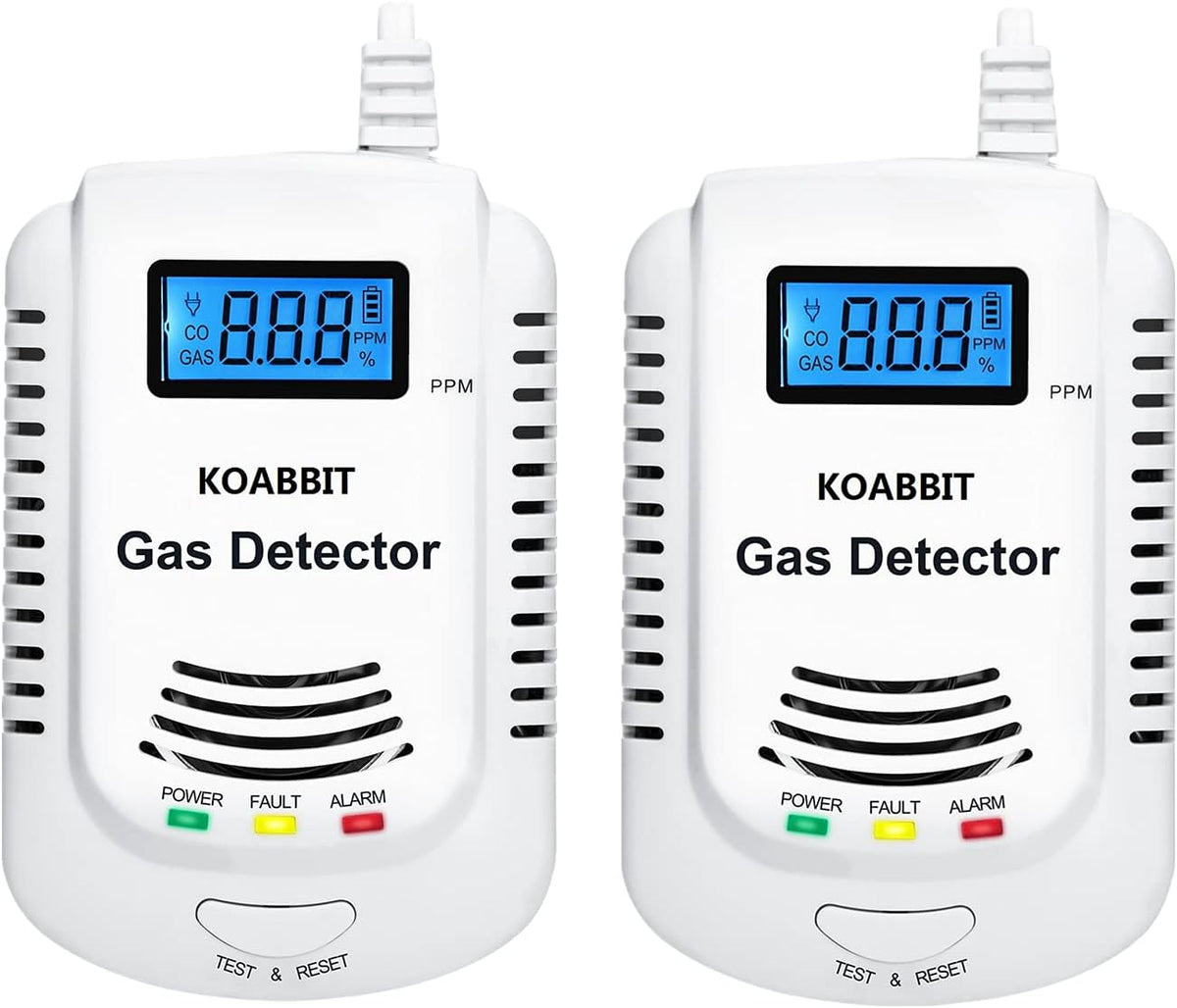 Plug-in Carbon Monoxide and Natural Gas Detector Alarm 2 Pack Y874165