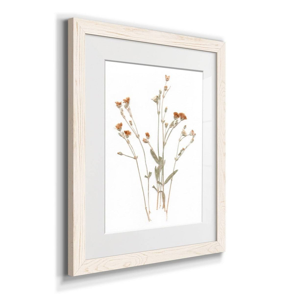 Framed Print 23X32 Maple I2968