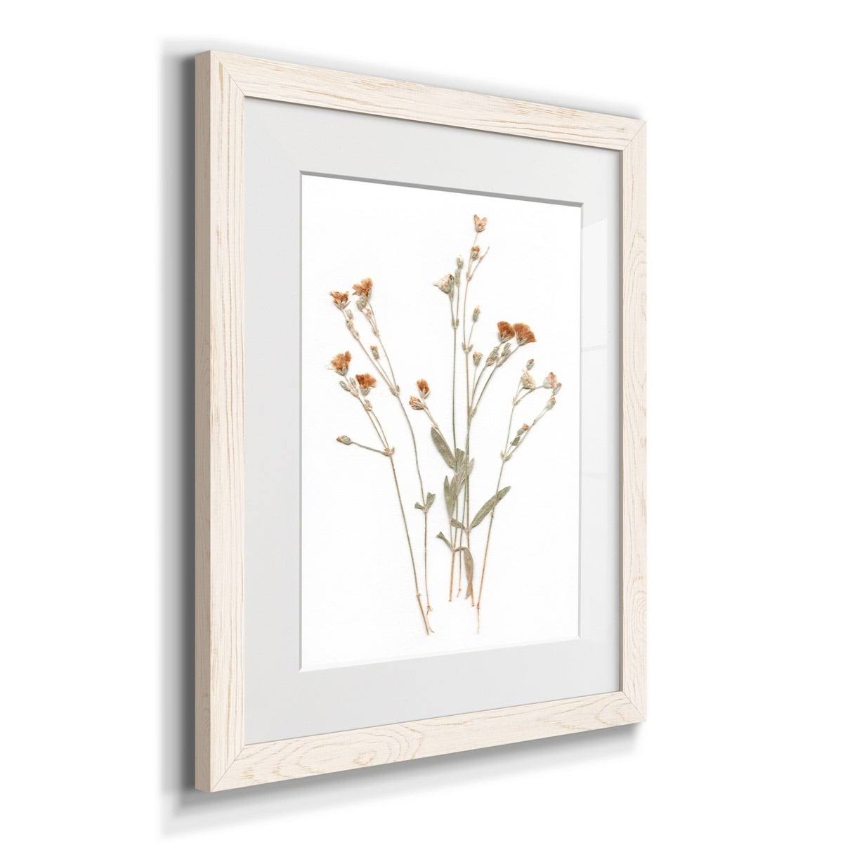Framed Print 23X32 Maple I2968