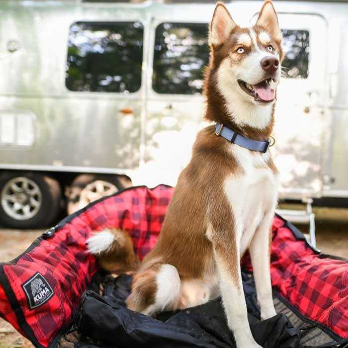 Dog Bed P56340