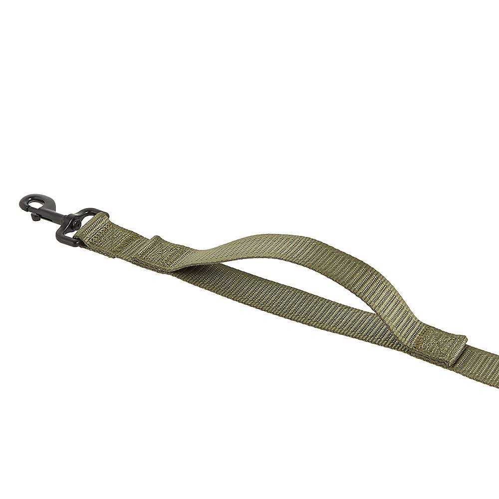 Dog Leash T6267