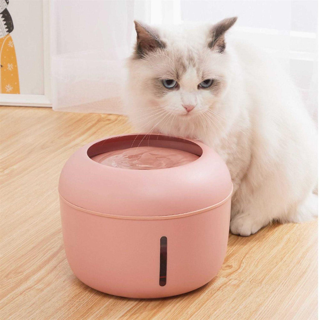 Filtered Dog and Cat Fountain Waterer P643