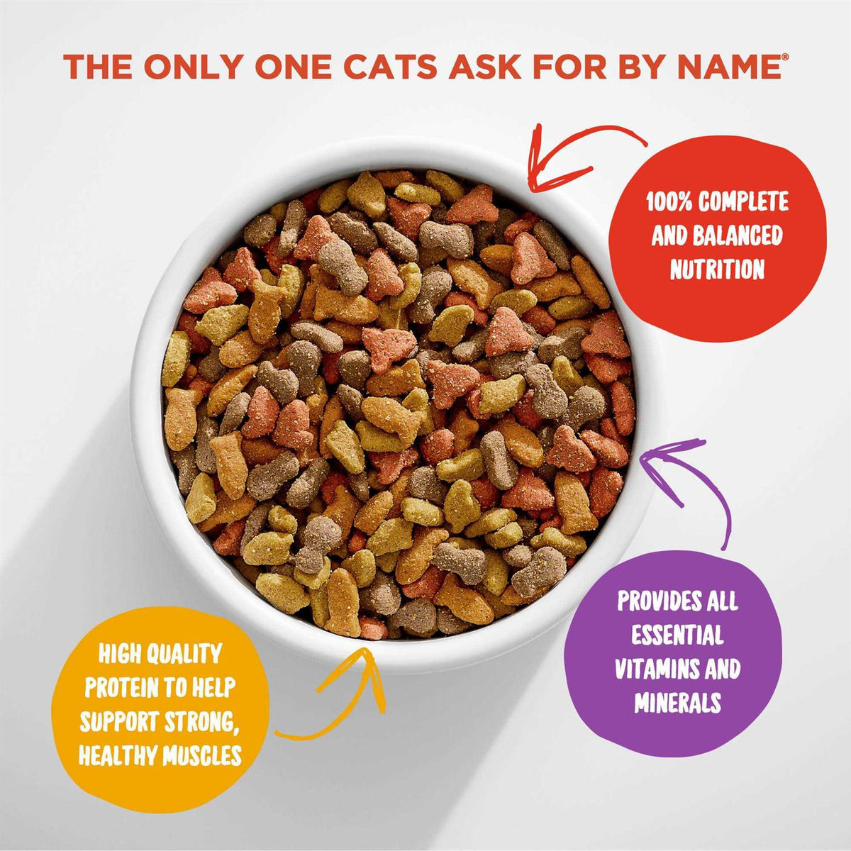 Dry Cat Food S46874
